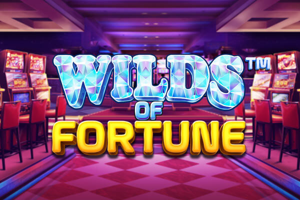 KYC Requirements at Windiggers Casino in the UK